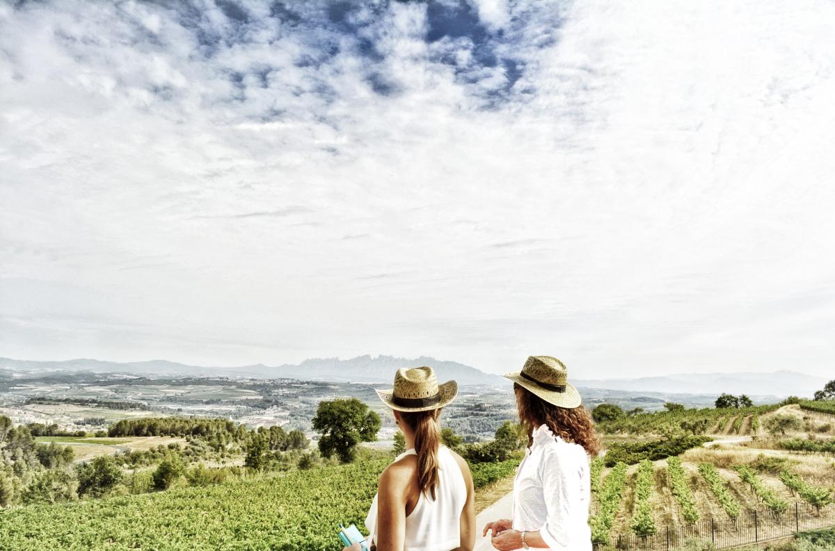 Llopart ofereix unes vistes excepcionals a les montanyes de Montserrat i a les vall de vinyes del Penedès