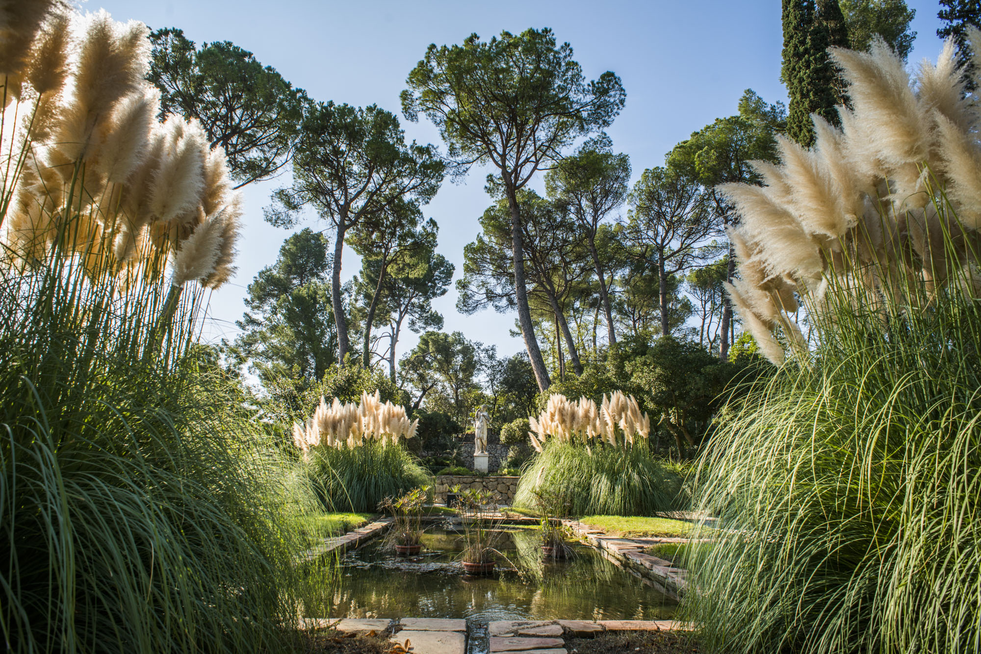 Jardín Codorníu Eventos