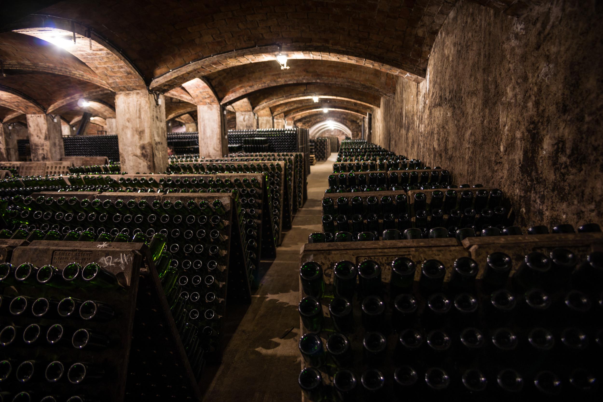 CAVA SUBTERRANEA 
