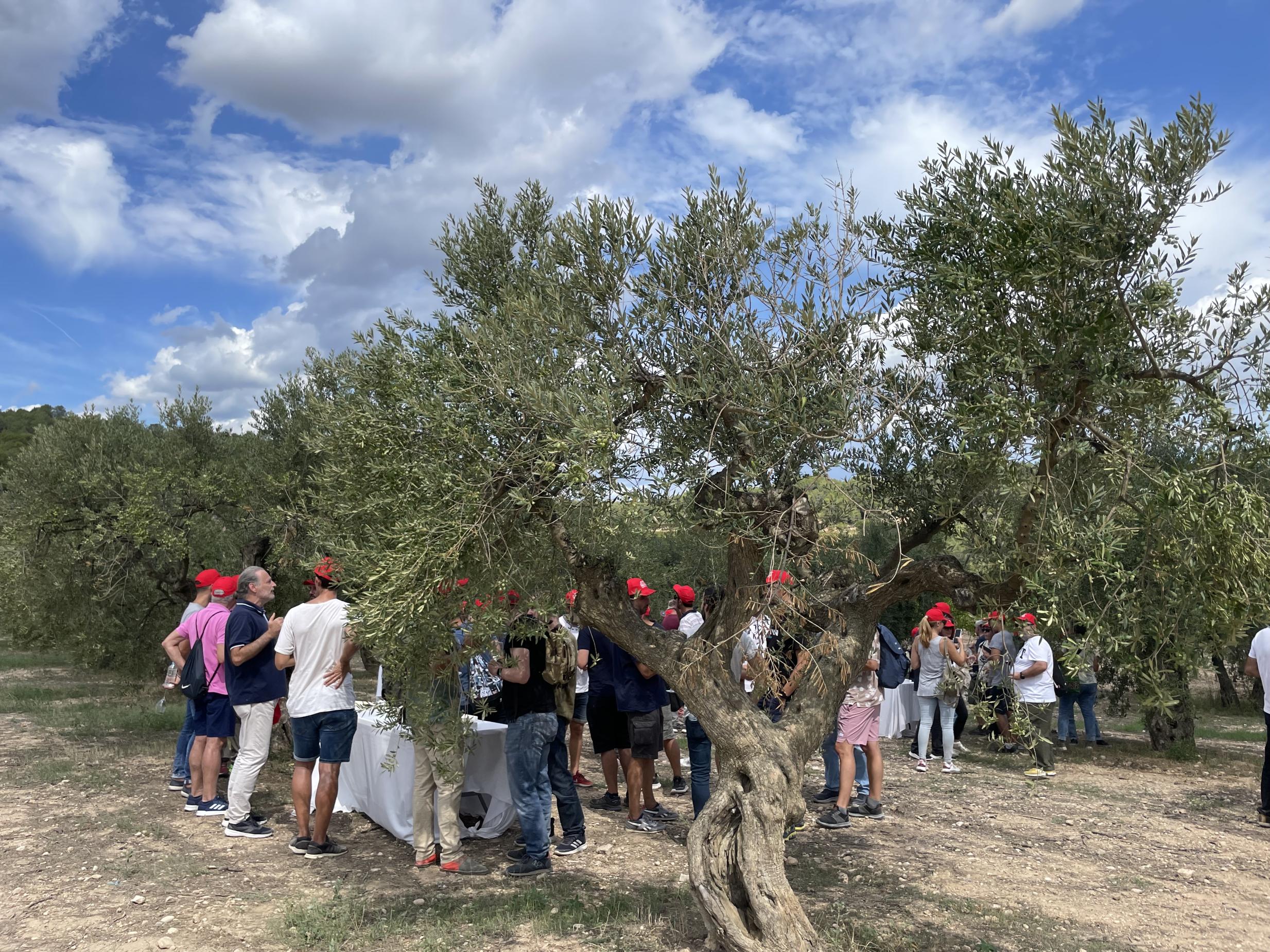 a la sala Llimiana tenim capacitat per a 120 persones en taules rodones i 60 amb Imperial