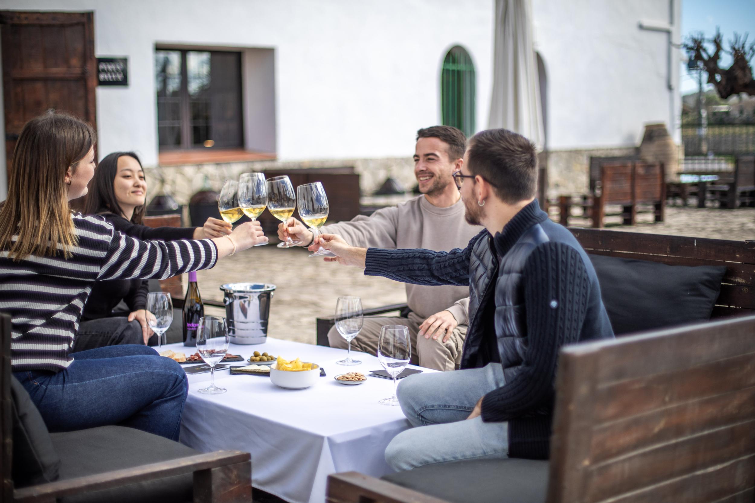 Wine Bars y terrazas entre viñedos