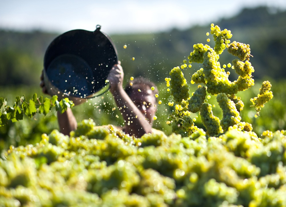 Turisme al Penedès 