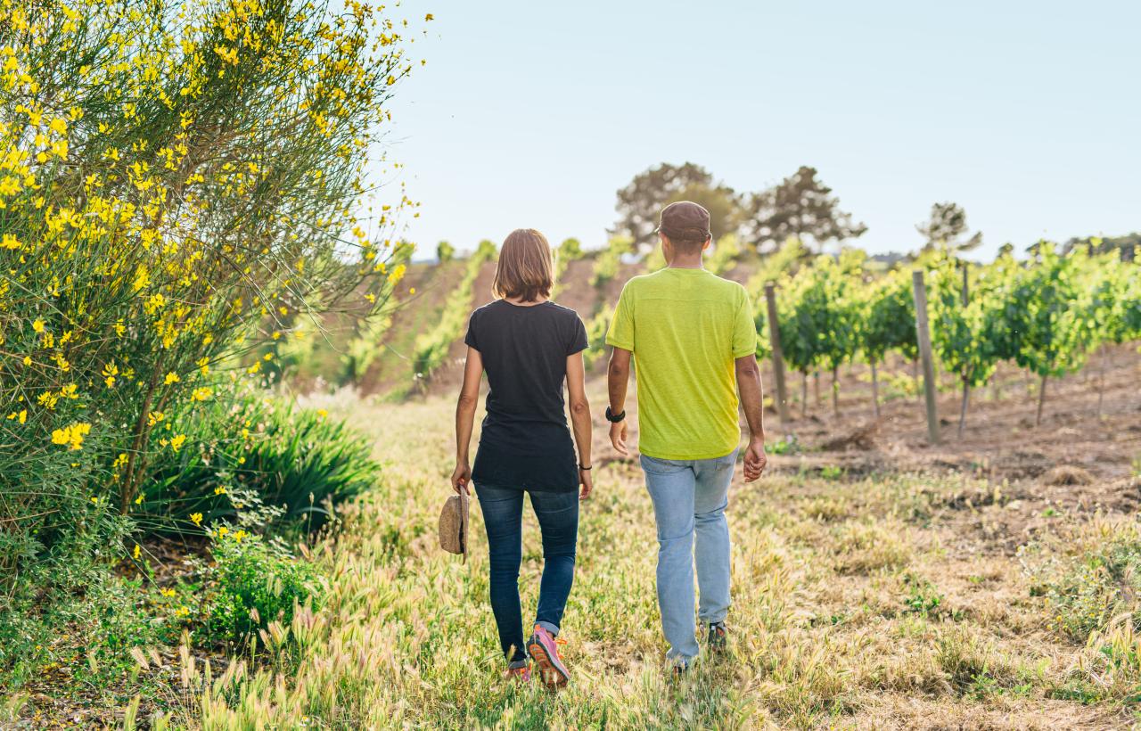 Turisme Penedès