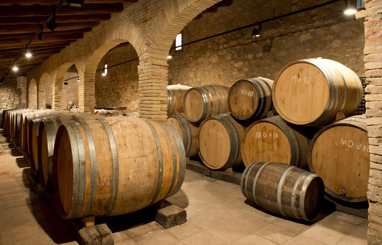 celler i botes