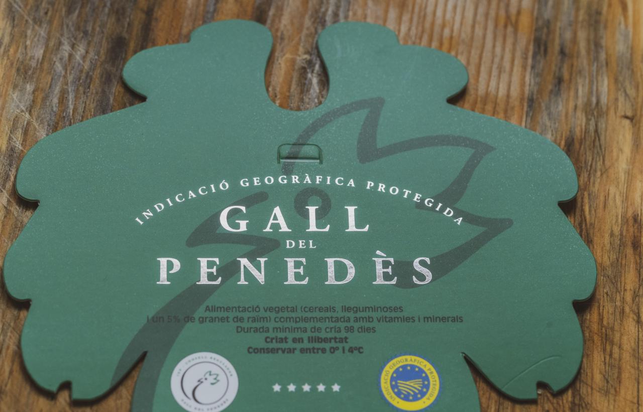 IGP gall del penedes