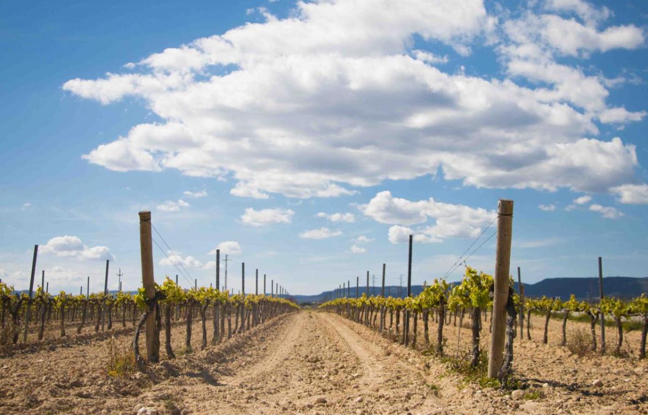 RV Penedès · El Pla del Penedès