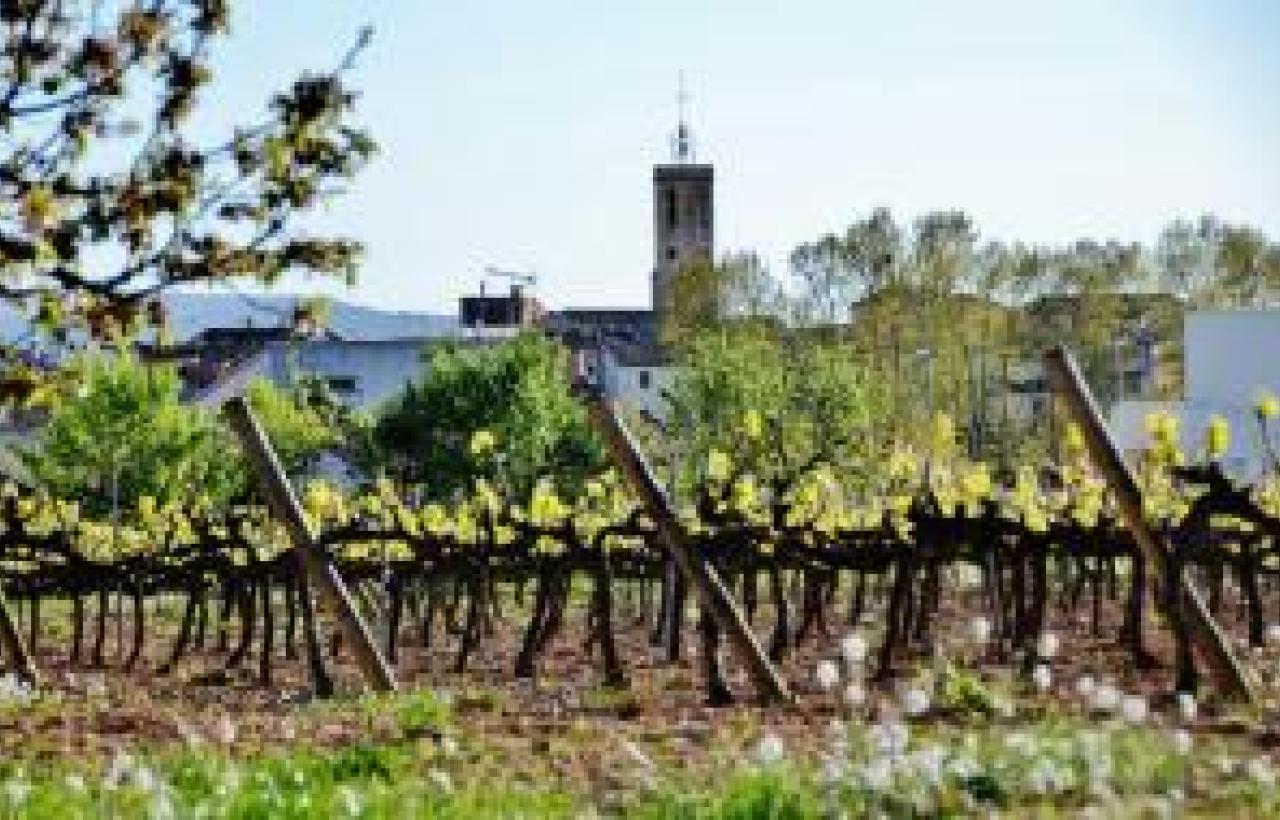 RV Penedès · Sant Cugat Sesgarrigues