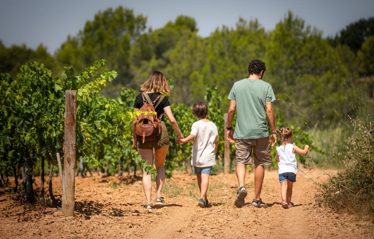 Camins del cava