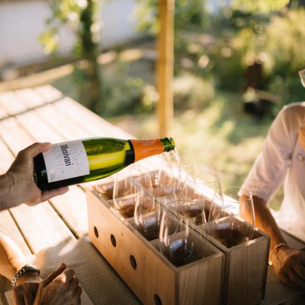 Tast cava i wine bar a les nostres terrassetes amb encant entre vinyes