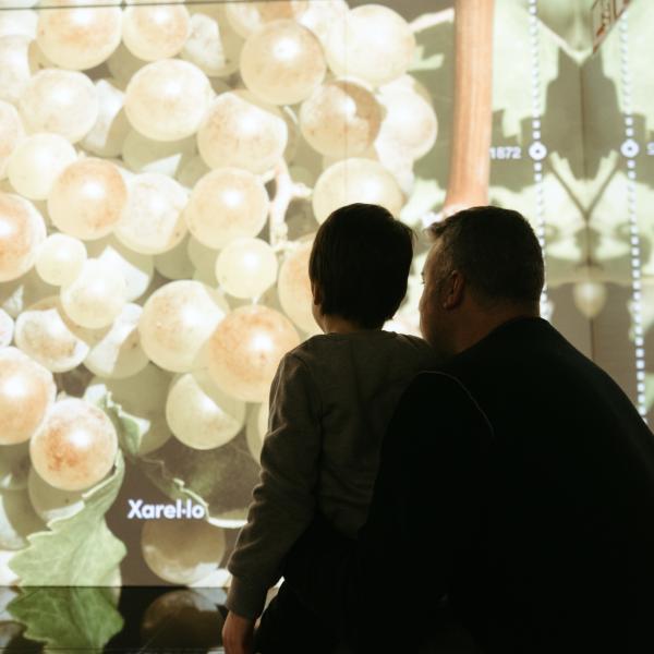 Visita Cava i Xocolata a Sant Sadurní d'Anoia