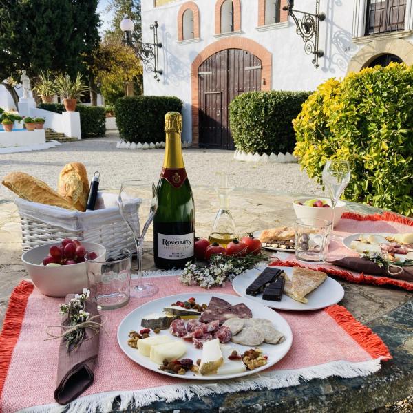 Desayuno en nuestro jardín modernista y visita de bodega