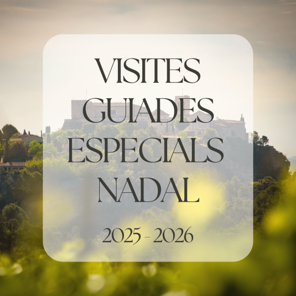 Portada visites especials