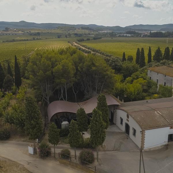 imatge aèria de la Cava Oriol Rossell, vinyes i celler