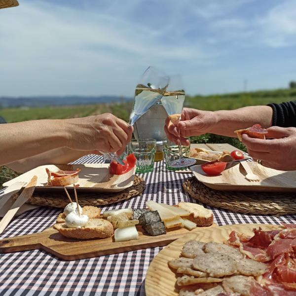 Picnic estiu a celler de vins i caves del Penedès