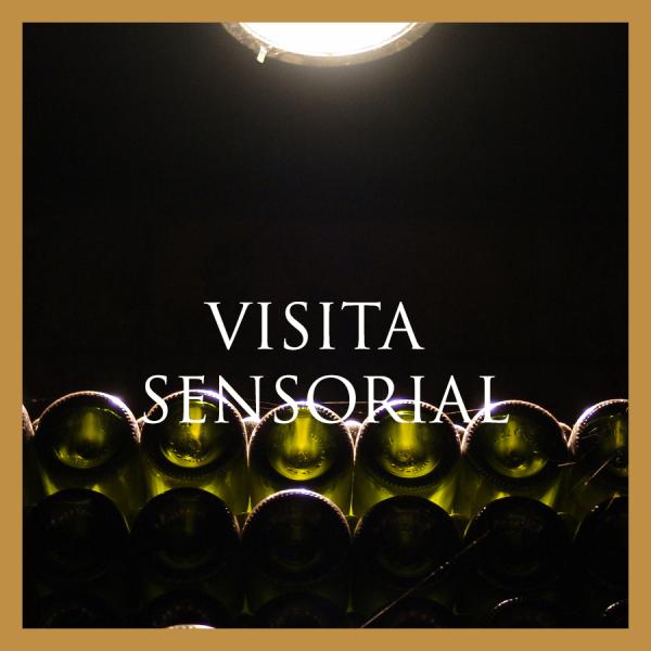 VISITA SENSORIAL
