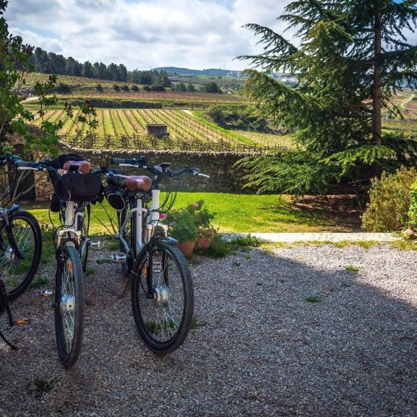 Bike & Visit