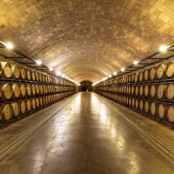 Sala de barriques Celler d'Espiells