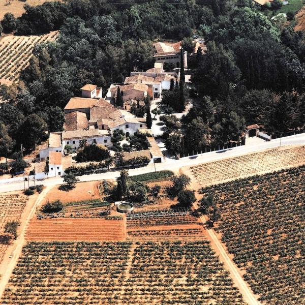 Vista aérea de Cavas Rovellats 