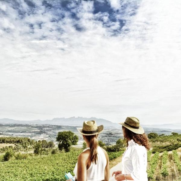 Llopart ofereix unes vistes excepcionals a les montanyes de Montserrat i a les vall de vinyes del Penedès