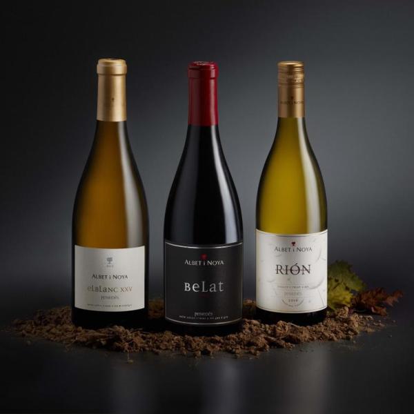 Bodego varietat Albet i Noya