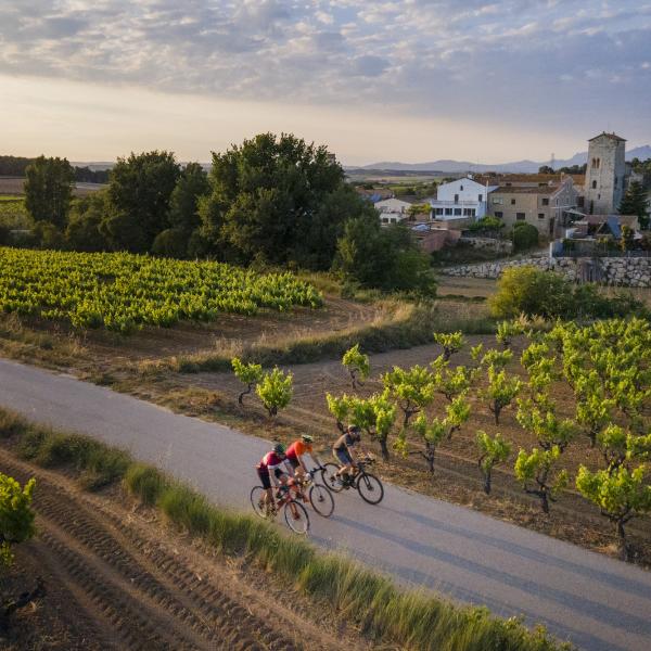 cavas codorniu tour