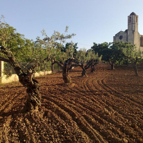 Sant Llorenç d'Hortons mill