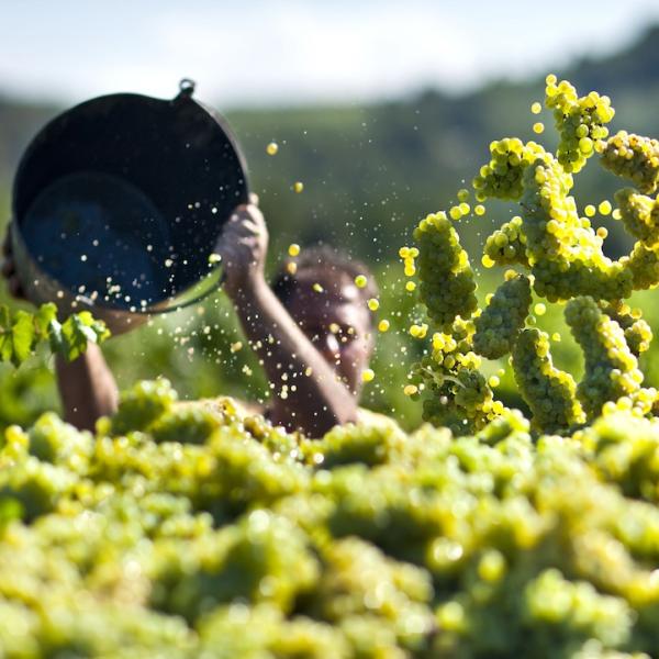 Tourisme dans le Penedès 