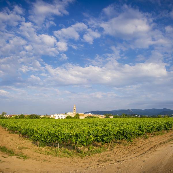 RV Penedès · Castellví de la Marca