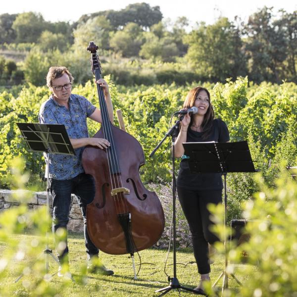 música  i festivals entre vinyes