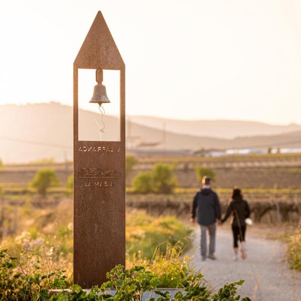 cava codorniu visit