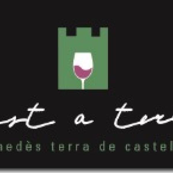 Gust a Terra