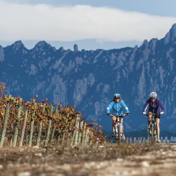 Penedès Ecotours