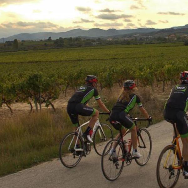 Bike tours en bicicleta de carretera i de passeig pel Penedès