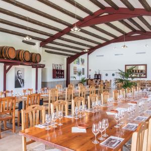 Ruta en bici i tast de vins al Penedès 