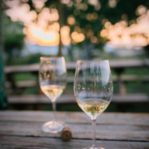 Gastrocava: wine bar, tast cava i picnic gourmet entre vinyes