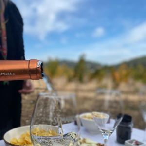 VISITA I TAST DE SENSACIONS AMB BRUNCH A LA VINYA