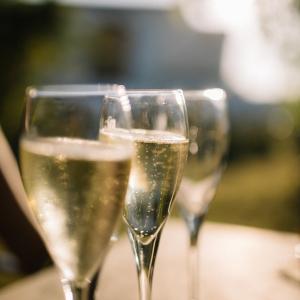 Gastrocava: wine bar, tast cava i picnic gourmet entre vinyes