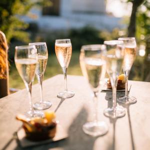 Gastrocava: wine bar, tast cava i picnic gourmet entre vinyes