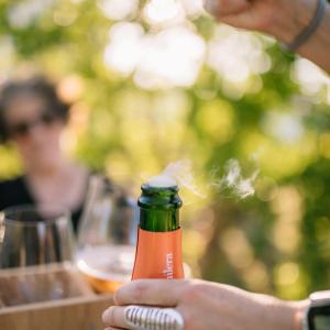 Gastrocava: wine bar, tast cava i picnic gourmet entre vinyes
