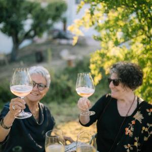 Gastrocava: wine bar, tast cava i picnic gourmet entre vinyes