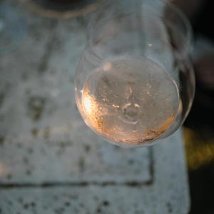 Gastrocava: wine bar, tast cava i picnic gourmet entre vinyes