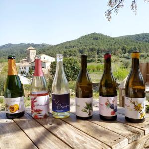 PROGRAMACIÓ FIRA VIART 2022 (VINS ECO - ARTESANIA-GASTRONOMIA - ART) 