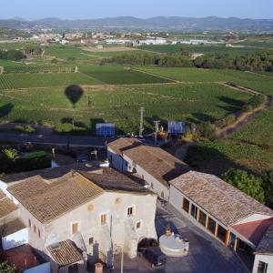 Visita amb picnic de Verema