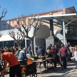 Experiència Cava i barbacoa
