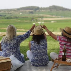 Picnic entre vinyes