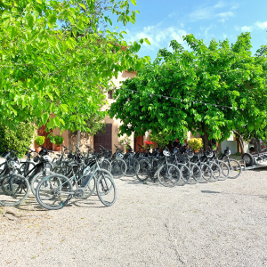 Lloguer de bicicletes