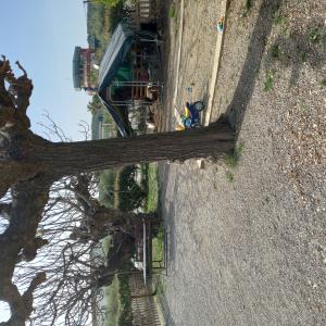 Menú Calçotada