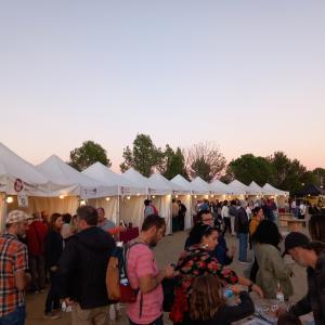 Fira Vinòleum de Font-rubí 2025 – Fira de vins, olis i cultura popular del Penedès