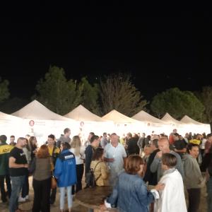 Fira Vinòleum de Font-rubí 2025 – Fira de vins, olis i cultura popular del Penedès