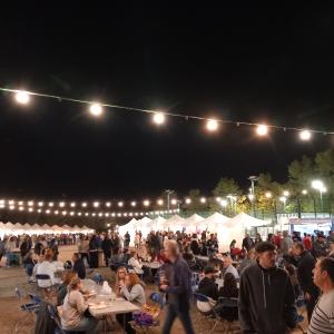 Fira Vinòleum de Font-rubí 2025 – Fira de vins, olis i cultura popular del Penedès